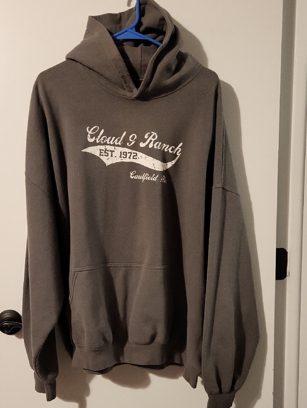 Cloud 9 Ranch Hoodie in Brown with White Graphic